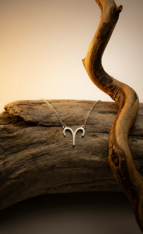 Personalized Zodiac Sign Necklace for Every Star Sign